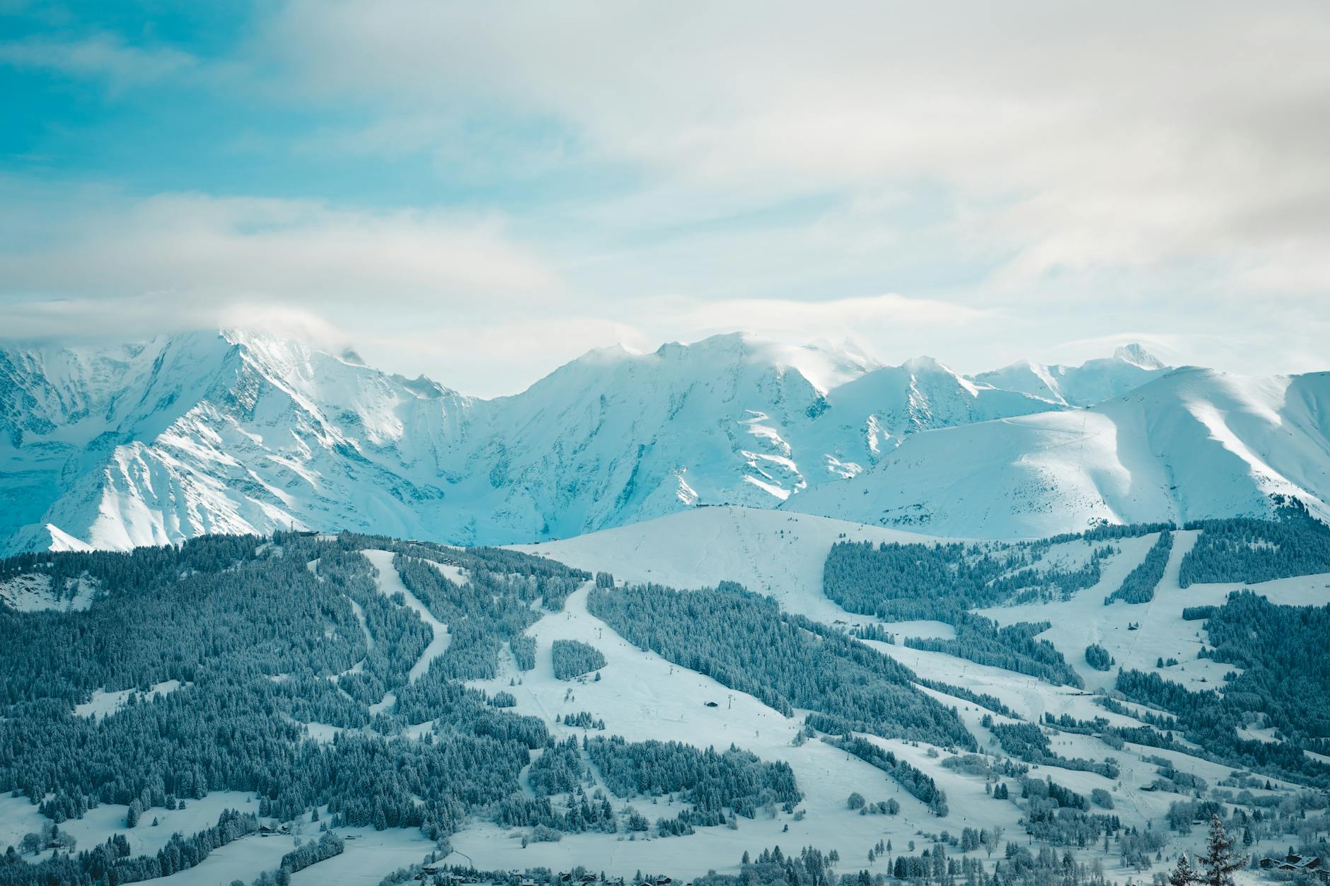 Kostenloses Stock Foto zu 12 zoll schnee, 4 k wald, 8 stunden schnee