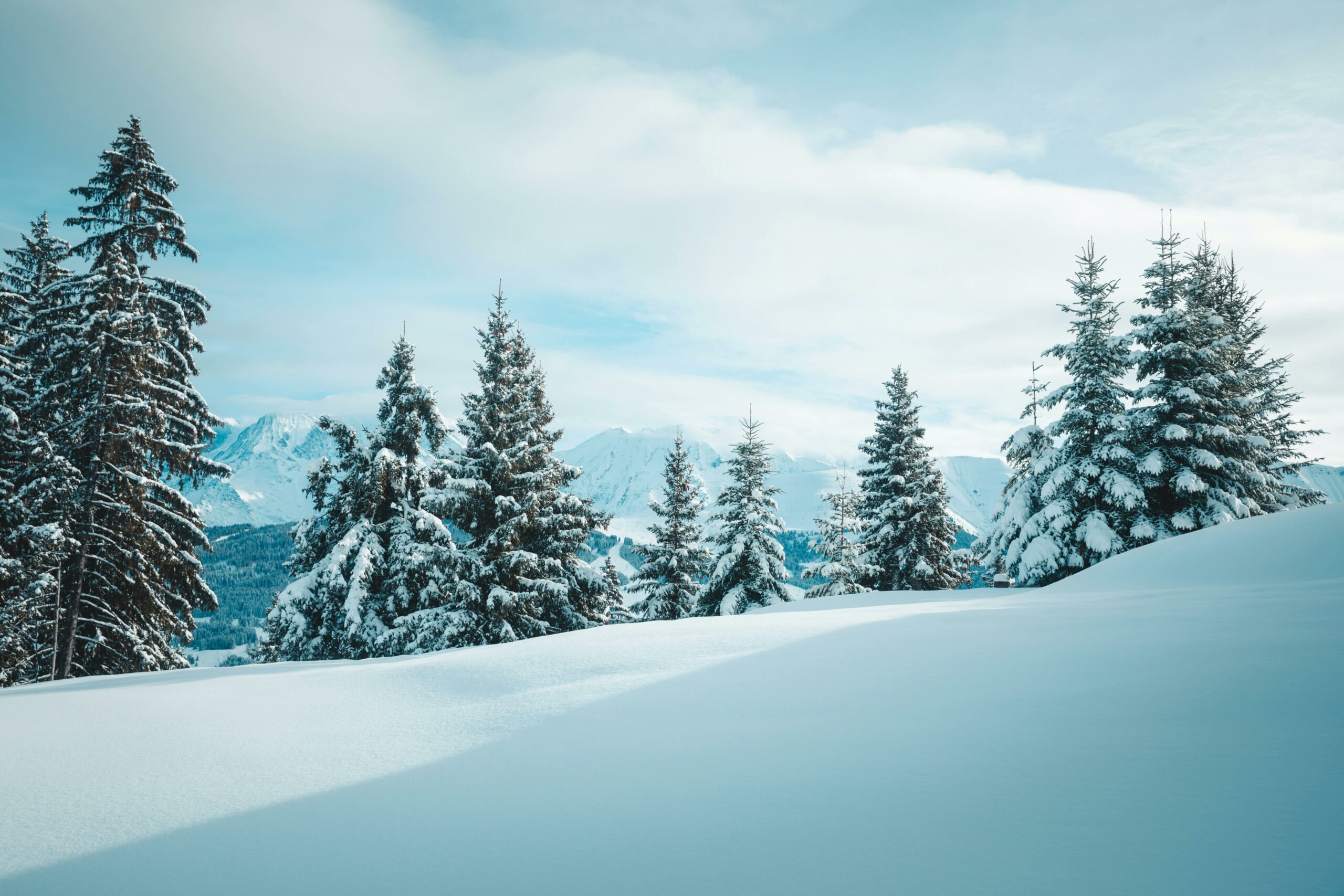 Kostenloses Stock Foto zu 12 zoll schnee, 4 k wald, 8 stunden schnee