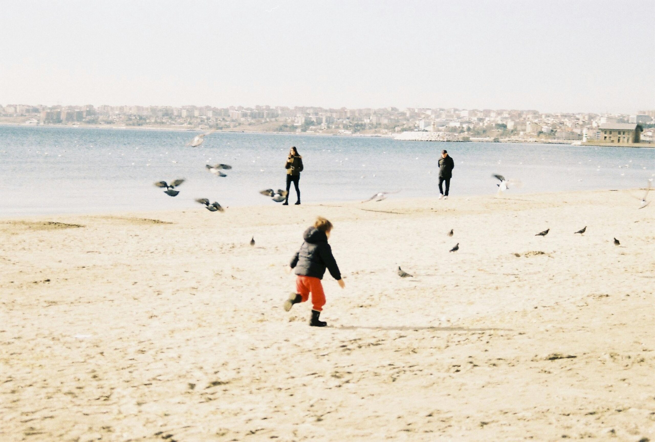 Kind jagt Möwen an einem Sandstrand mit ruhigem Wasser und Stadtbild im Hintergrund.